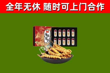 防城港回收冬虫夏草价格